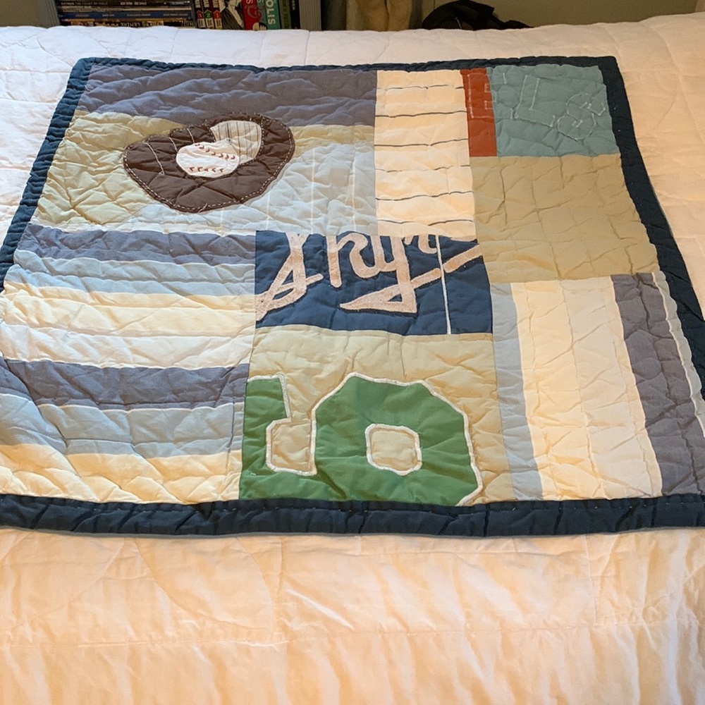 Pottery Barn Euro Sports sham